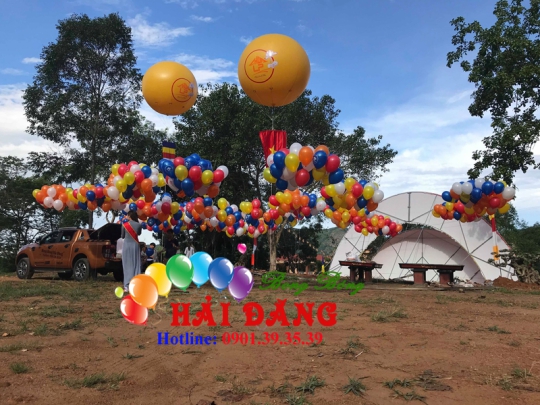 Khí Cầu Giá Rẻ