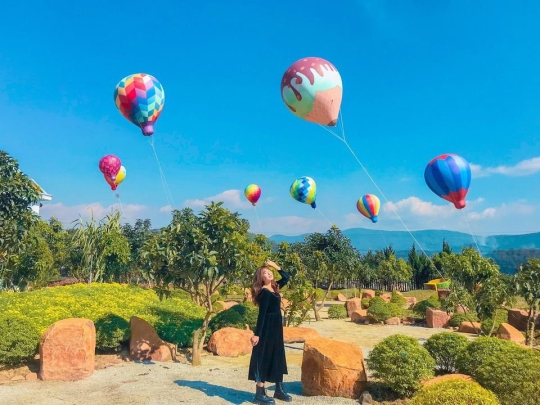 Cho thuê bóng khí cầu